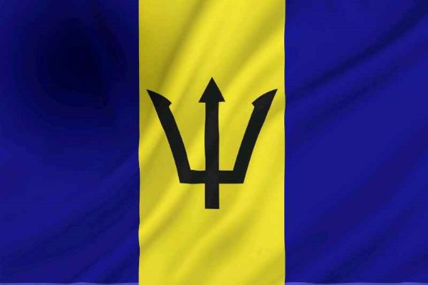 Vlag Barbados - 100x150cm Spun-Poly